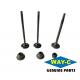 ED33454 Motorcycle Engine Intake Valves And Exhaust Valves For PIAGGIO APE