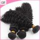 New Arrived Remy Wet and Wavy Human Hair 22 inch Brazilian Virgin Kinky Curly