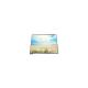 LQ043T1DH42 480*272 tft LCD Display Screen 4.3 inch Touch LCD Panel