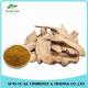 100% Pure Natural Dong Quai Extract/Angelica Root Extract Powder