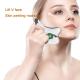 Portable Vibration Facial Beauty Device Electric Gua Sha For Face Slimming