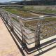 Satin Polished Stainless Steel Handrail Outdoor OEM Guard Rail Balcony
