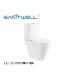 Washdown Fashionable 2 Piece Toilet Structure S Trap With Soft Surface