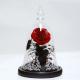 Beauty and the beast roses valentines day real preserved rose in glass that lasting 3 years