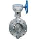 Flanged Connection Stainless Steel Butterfly Valve with  Worm Gear NPS 2-48 Class150-300