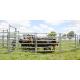 New style high standard cattle panels for sale - 6 Bar Cattle Rail 1.8m high