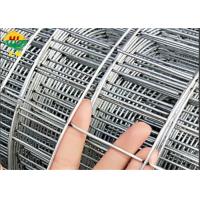 High quality Galvanized Welded Wire Mesh Roll For consutruction and infrastructure