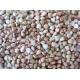buckwheat huller, buckwheat sheller, buckwheat hulling machine