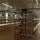 Automatic Broiler Feeding System The Ideal Solution for Poultry Farms