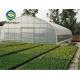 Agricultural Tomato 12m Single Tunnel Greenhouse