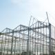 Galvanized Steel Frame Multi Span Venlo Glass Greenhouse Large Automatic