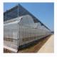 Film Cover Material Agriculture Multi Span Greenhouse with Galvanized Steel Pipe Tube