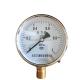 Pressure Gauge Customized Support and OEM Service with Die Cast Aluminum Case