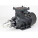 FLOWDRIFT AC Asynchronous Motor-powered Magnetic Drive Hi-Pressure Stainless Steel Gear Pump KGP-06I