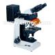 Achromatic Epi - Fluorescence Microscope Binocular A16.1024