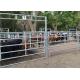 Heavy Duty 1.6m Height Livestock Fence Panels Metal Galvanized Farm Gates