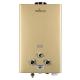 LPG NG Gas Geyser 6L Tankless Instant Water Heater Golden Panel