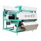Super Speed Garlic Color Sorter Equipment With High Frequency Solenoid Valve
