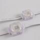 Outdoor magic RGB SMD5050 1.5W DC24V Operating Voltage Smart home pixel eave lights