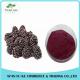 Hight-quality Instant Freeze Dried Mulberry Extract Fructus Morin Powder