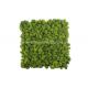 Natural Lichen Moss Green Tiles Wall Mat Backdrop 30cm*30cm 50cm*50cm