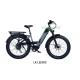 Electric Fat Tire Bike S Informative LCD Display High Performance Motor 110-130km
