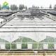 Saw Tooth Multi Span Tropical Weather Plastic Film Greenhouse With Shading System