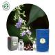 wholesale bulk  Oil therapeutic Grade 100% pure organic Vitex cannabifolia oil for Cosmetic