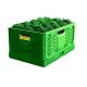 Customized Logo Green Collapsible Plastic Mesh Storage Crate for Vegetables and Fruits