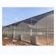 Vegetable Fruits Flowers Film Greenhouse Chinese Multi Span Greenhouse for Tomato Agriculture