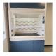 Safety Laboratory Fume Cupboard , Heat Resistant Lab Fume Hood