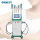 Multifunction Cryolipolysis Machine , 360 Cryotherapy Fat Freezing Machine