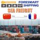 China To France FCL Sea Freight , 40FT FCL Container Ocean Freight