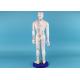 PVC Male Acupuncture Model Human Body With Muscle Traditional Medicine
