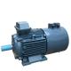YE3 Series 3 Phase 2 Pole Induction Motor Asynchronous Electric Motor