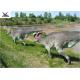 Playground Exhibition Twins Dinosaur Lawn Decorations For Theme Park