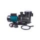 220v 60Hz Spa Water Pump 2.2kw Long Service Life Silent Operation