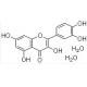 Quercetin Extract 98%