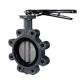 Diaphragm Electric Lug Butterfly Valve in Cast Iron Material for ODM Customized Support
