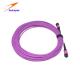 High Speed Ethernet 12 cores MPO MTP Patch Cord MM OM4 Duplex Multi Mode Fiber 5 Meters