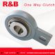 R&B sprag freewheel  backstop clutch RSBW60/GVG60 apply in Grain hoist or Fishing net machine