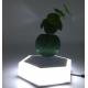new led light customize magnetic floating levitating air bonsai potted plant trees