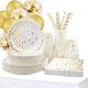 Birthday Party 100 Biodegradable Bronzing Dots Disposable Dishware