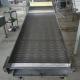                 Stainless Steel Conveyor Belt for Cleaning, Cooling and Drying Line             