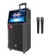 Professional Portable Karaoke Video Machine With 2 Microphones ROHS Approved