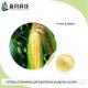 99% Purity  Nutrient Supplements Corn Peptide Special For Sober Up Promote Metabolism