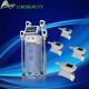 Best high-technology cryolipolysis slimmming machine with 4 handles From China