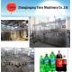automatic gas carbonated drink washing filling capping 3-in-1 machine
