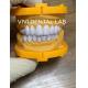 Super White E Max Laminate Veneers Dental Professional High Esthetic