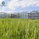 Exhibition Multi Span Greenhouse , Glass Green Houses Hanging Load 0.15KN/M2
